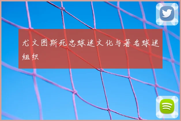 尤文图斯死忠球迷文化与著名球迷组织